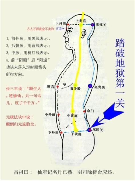 玄關竅位置|竅的作用和九竅的位置